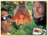 2005_8